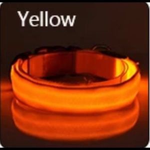 The Taking Caution Collar- Yellow